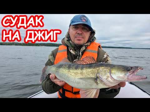 Видео: ЛОВЛЯ СУДАКА НА ДЖИГ. РЫБАЛКА НА СПИННИНГ. ПРИМАНКИ НА СУДАКА
