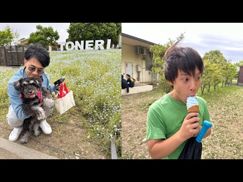 Видео: НАШ МАЙ В ЯПОНИИ/ ВЛОГ #япония #japan #влог #vlog