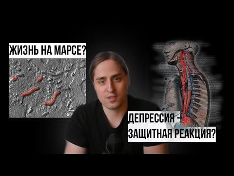 Видео: ЖИЗНЬ на МАРСЕ / ПОЛИВАГАЛЬНАЯ гипотеза ДЕПРЕССИИ [Владимир Алипов]