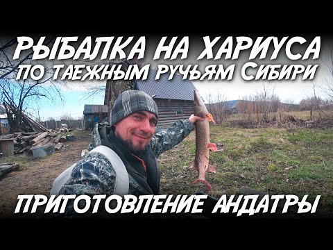 Видео: Рыбалка на хариуса по таежным ручьям Сибири / Приготовление андатры