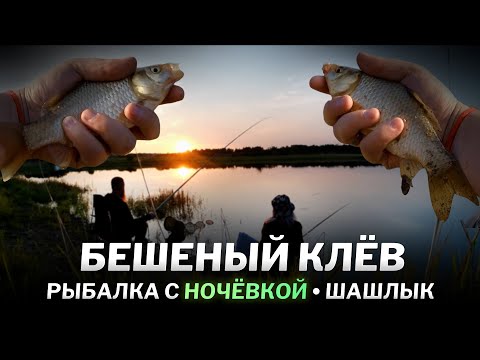 Видео: Рыбалка с ночевкой на КАРАСЯ. Дикий клев и много рыбы