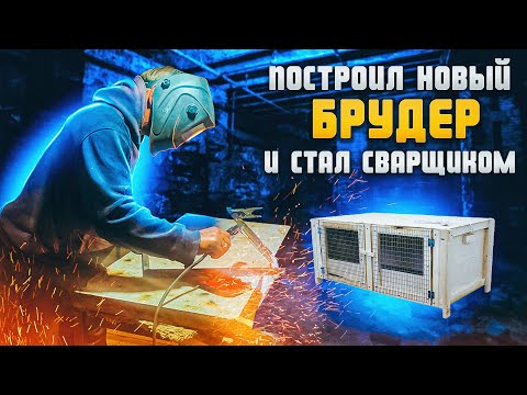 Видео: Построил новый брудер для бройлеров, которых уже не хотел держать. "Мое Подворье"