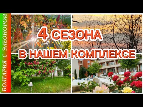 Видео: Лето, Осень, Зима, Весна в Болгарии на Солнечном Берегу в Нашем Комплексе.