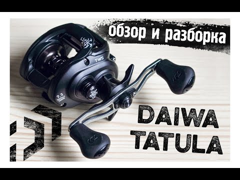 Видео: DAIWA TATULA TW 150HS 19 (ДАЙВА ТАТУЛА). ОБЗОР моей новой катушки. ЧАСТЬ 1.