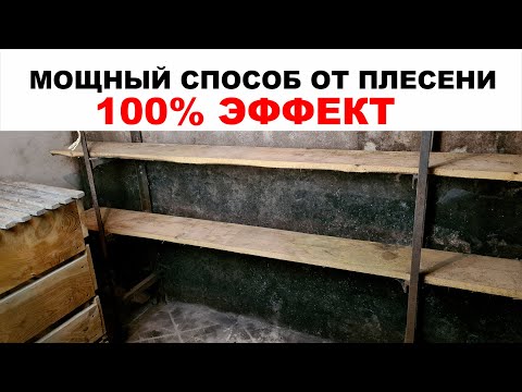 Видео: Как избавиться от плесени (грибка) с поверхности на стене и на деревянных стеллажах. ЭФФЕКТ 100%