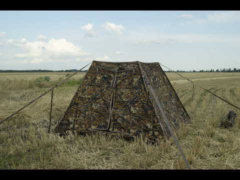 Видео: ЛУЧШАЯ ЗАСИДКА НА РЫНКЕ ОТ КОМПАНИИ SEVEN BIRDS!!!