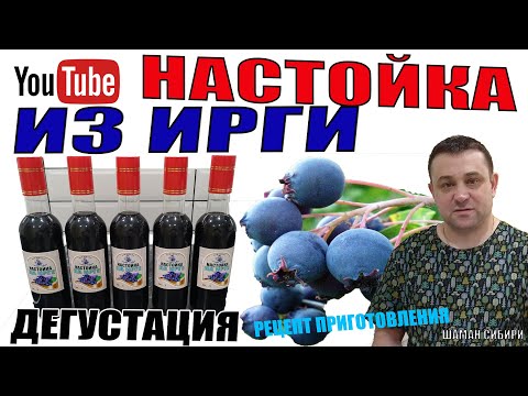 Видео: Домашняя настойка из Ирги! Отличный рецепт приготовления! Дегустация!