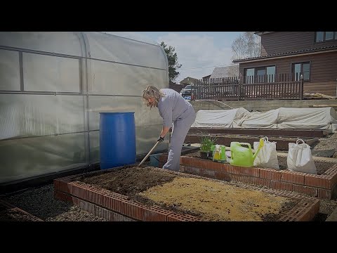 Видео: Переезд на ПМЖ начинается, или Зачем нужен шприц для высаживания лука на грядки