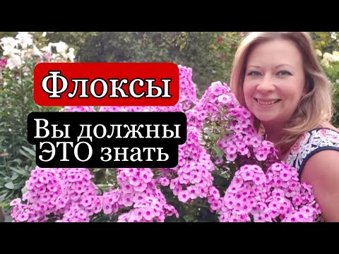 Видео: Секреты пышного цветения и ухода за флоксами | Подкормка флоксов