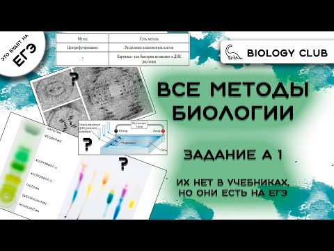 Видео: Все методы биологии для ЕГЭ 2024 - понятное, простое и быстрое объяснение