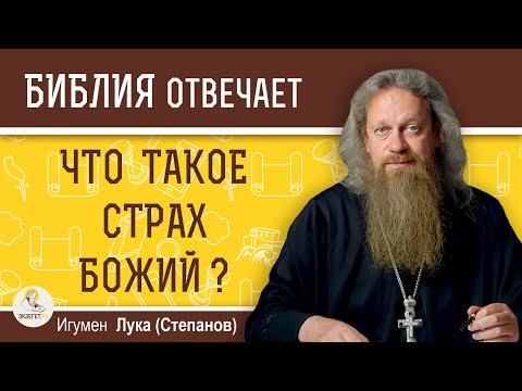 Видео: Что такое СТРАХ БОЖИЙ ?  Игумен Лука (Степанов)