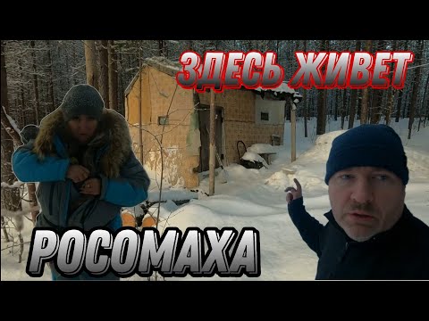 Видео: РЫБАЛКА на НАЛИМА и СИГА с НОЧЕВКОЙ В ИЗБЕ. Привез ЖЕНУ к ВОЛКАМ и РОСОМАХЕ.