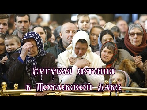Видео: МОЩЬ! Сугубая ектения - протд. Александр Пушкарёв