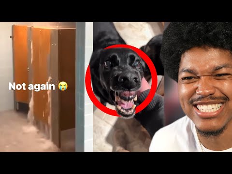 Видео: Эти Тик-Токи сошли с ума