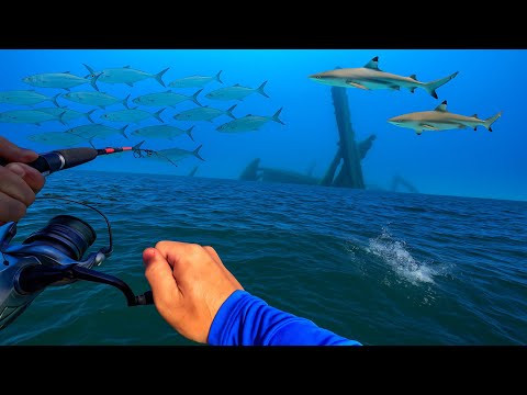 Видео: Эпические новые виды затонувших кораблей в заливе Мортон