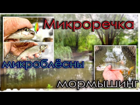 Видео: Микроречка. Пробую микроблёсны и Мормышинг.