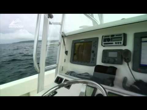 Видео: Подводные приключения в Панамских рифах.