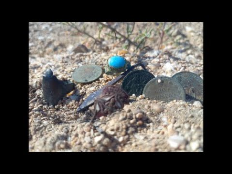 Видео: Забытый всеми пляж, которому более 100 лет! Смотрим на находки!