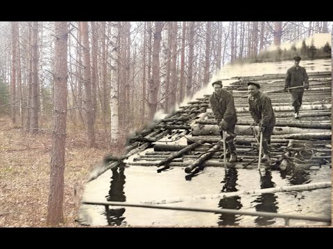 Видео: Лесосплав. Сколько металла скрывал лес?