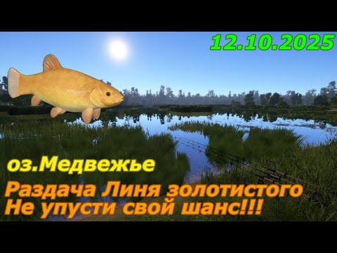 Видео: Раздача линя золотистого на озере Медвежьем | Русская Рыбалка 4