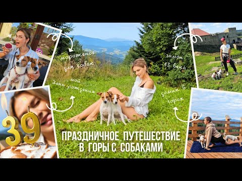 Видео: ПРАЗДНИЧНЫЙ DOG VLOG: Мой День Рождения/ Сняли Домик в Горах/ Автопутешествие с Собаками по Польше
