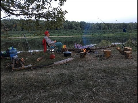 Видео: Отдых - Рыбалка Десна - Остер
