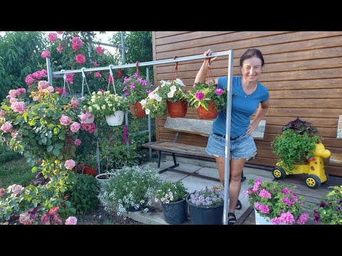 Видео: О моих цветах. Подкормка для цветов в горшках.