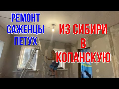 Видео: 346ч🏡Талон забрали/Гибискус,можжевельник и кизильник купили/Ремонт продолжается