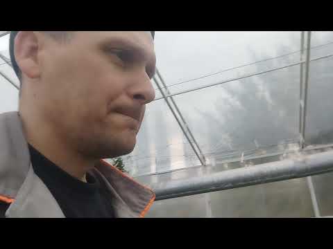 Видео: 21 октября 2025 г.