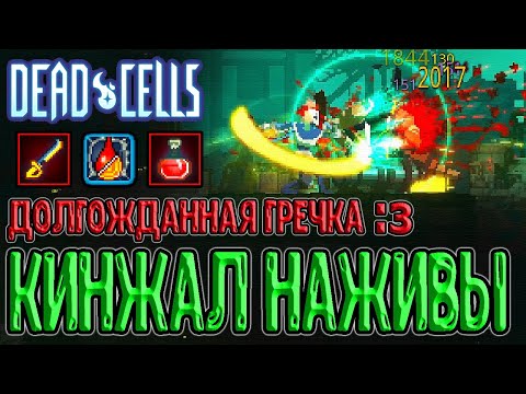 Видео: Кинжал Наживы - Криты за золото / История про Гречку и 2 Питы xD / Dead Cells Breaking Barriers