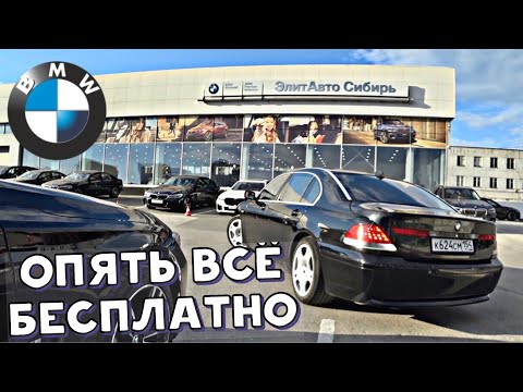 Видео: Купил БМВ?! Срочно все к официалам ЗА ХАЛЯВОЙ! Пока не передумали)) Шишига довольна!