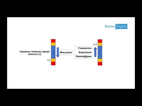 Видео: Воскресная пятиминутка 06: Сахароснижающие препараты