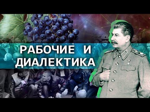 Видео: Рабочие и диалектика // Зелёный виноград диалектики №11