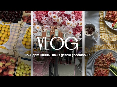 Видео: VLOG: День молодёжи| Концерт Пиццы| Как я делаю заготовки? 