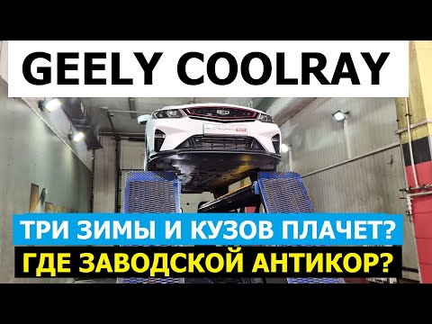 Видео: Течёт слезами ржавчины? Обзор Geely Coolray всего 2.5 года эксплуатации 26.000 км Что делает зима?