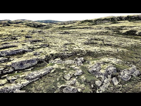 Видео: РЫБАЛКА В ТУНДРЕ. ТОЛЬКО ТРОФЕИ. Суровый край голодных МЕДВЕДЕЙ / TUNDRA FISHING. Only TROPHIES