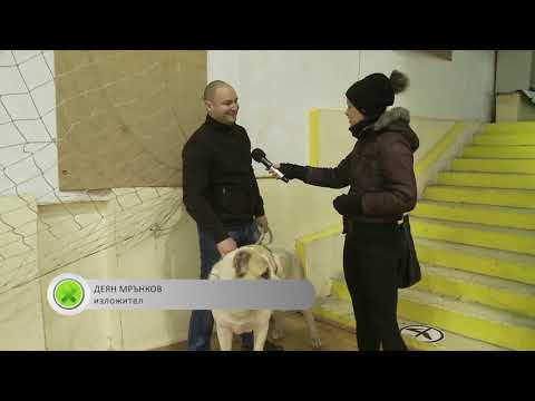 Видео: Киноложка изложба в Пловдив