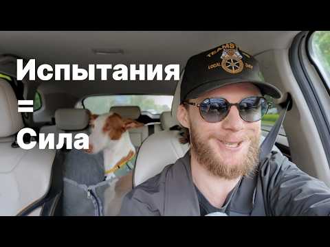 Видео: Испытания дают тебе силу, причем тут собачья рвота?