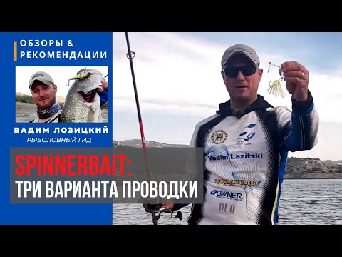 Видео: Spinnerbait: три эффективные проводки! Рыбалка на Кипре 🇨🇾 Советы и рекомендации