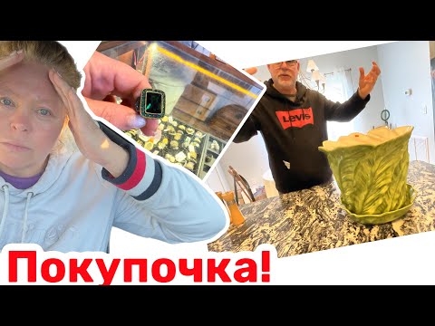 Видео: Позже осознала, что я купила!!! Цены нет! #натальяфальконе #сша #estatesale