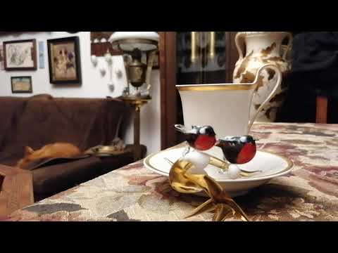 Видео: Самвел Адамян. Анжелика Снежинская. Лжепатриоты, лжевояки, лжежурналисты... 