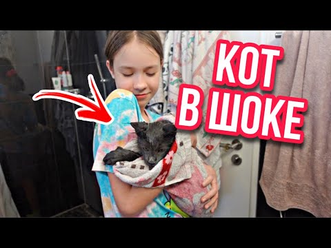 Видео: VLOG / 😅ПЕРВЫЙ РАЗ КУПАЕМ КОТА 😬ЭТО ПРОВАЛ / 04.01.22