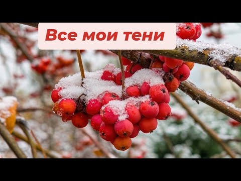 Видео: Инвентаризация, Часть 4 // Все мои тени ❣️