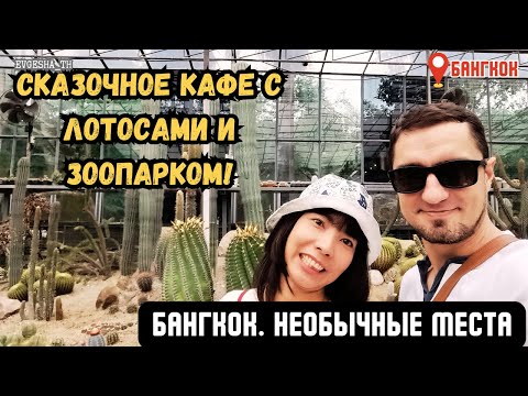 Видео: Бангкок. Мы нашли сказочное кафе с лотосами и зоопарком! 🦆🌵