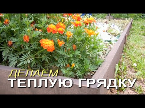 Видео: Как сделать ТЕПЛЫЕ ГРЯДКИ осенью! Советы от ЗЕЛЕНОГО ОГОРОДА!