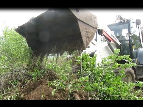 Видео: Как расчистить участок. Удаление деревьев и поросли