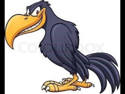 Видео: ТАНИН МЭДЭХҮЙ: Хэрээ хир ухаантай амьтан бэ