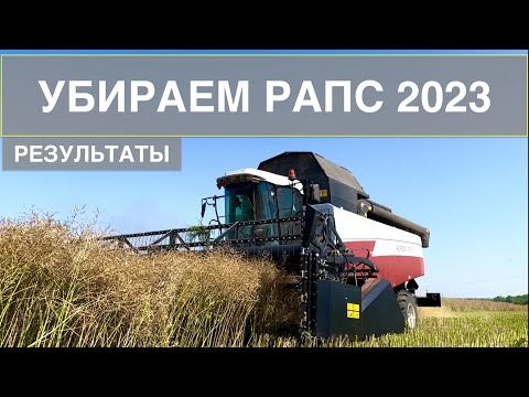 Видео: Уборка рапса 2023. Результатом доволен!