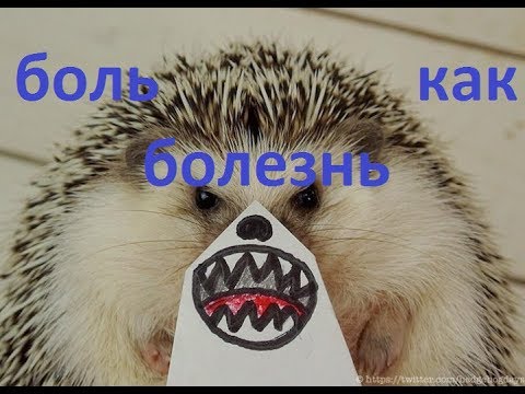 Видео: Для медиков. Почему боль не проходит?