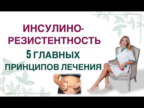 Видео: ❤️ 5 ГЛАВНЫХ ПРИНЦИПОВ ЛЕЧЕНИЯ ИНСУЛИНОРЕЗИСТЕНТНОСТИ. Врач эндокринолог, диетолог Ольга Павлова.